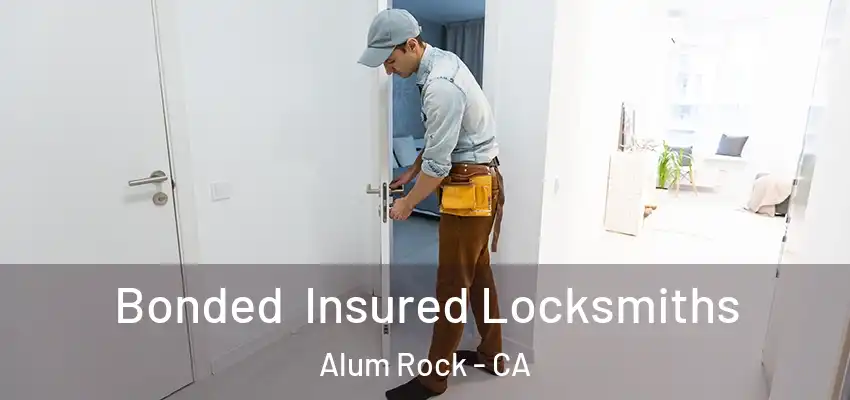  Bonded Insured Locksmiths Alum Rock - CA