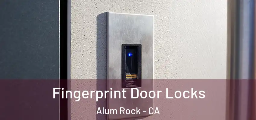  Fingerprint Door Locks Alum Rock - CA