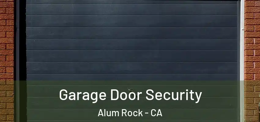  Garage Door Security Alum Rock - CA